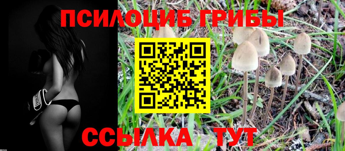 Псилоцибиновые грибы Magic Shrooms  где купить наркоту  Чебаркуль  Вход с VPN  Псилоцибиновые грибы прущие грибы 
